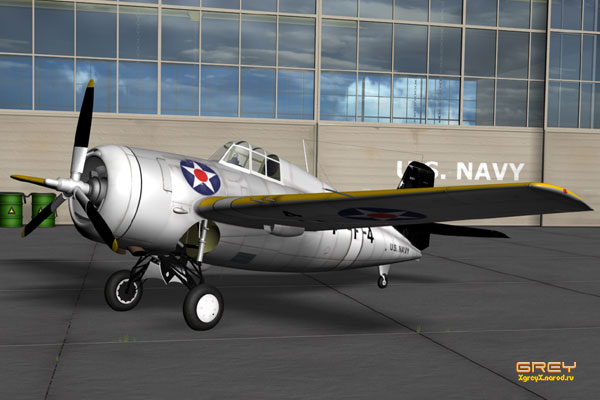 Wildcat